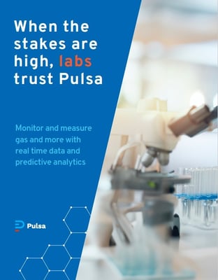 Pulsa labs cover 