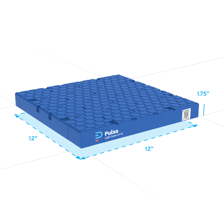 Scale Introduction (1)